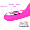 Vibrador Tipo Nora